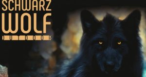 schwartzwolf